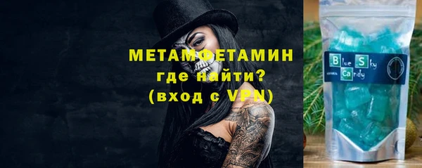 сатива Беломорск