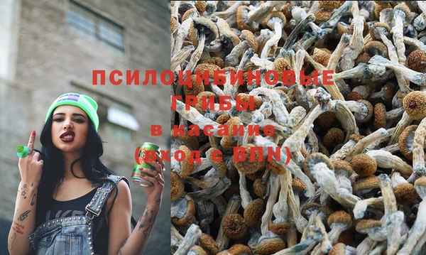 гашик Белоозёрский